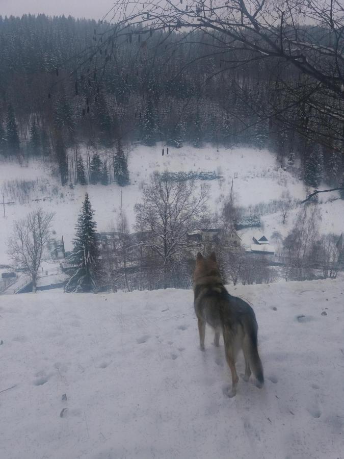 Hotel Ceska Farma Dolni Dvur エクステリア 写真